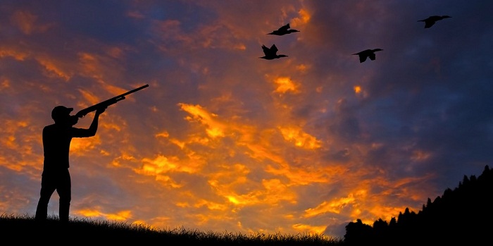 Hunting season extended until March 10 in Azerbaijan